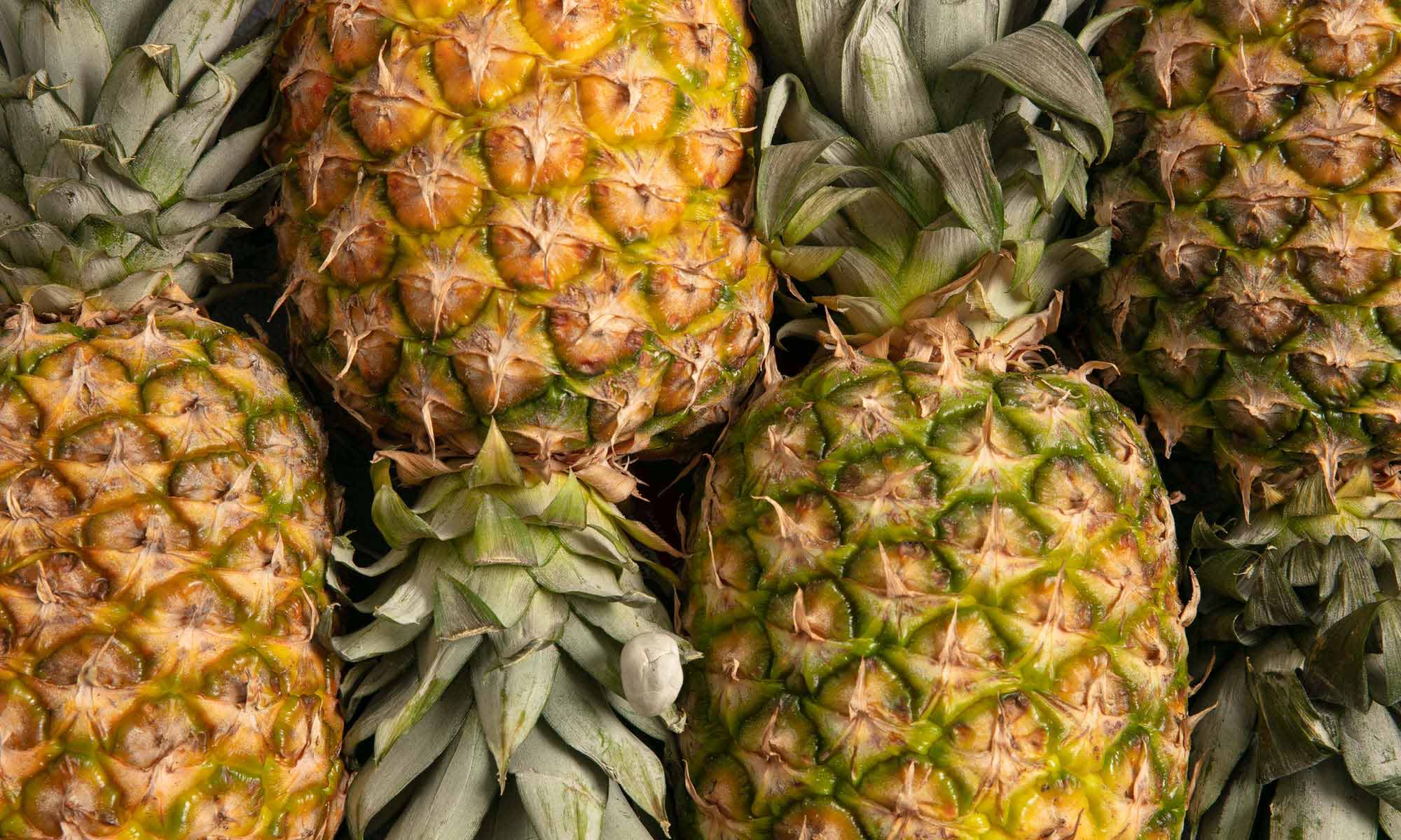 Mehrere frische Ananas FrĂĽchte nebeneinander liegend angeordnet