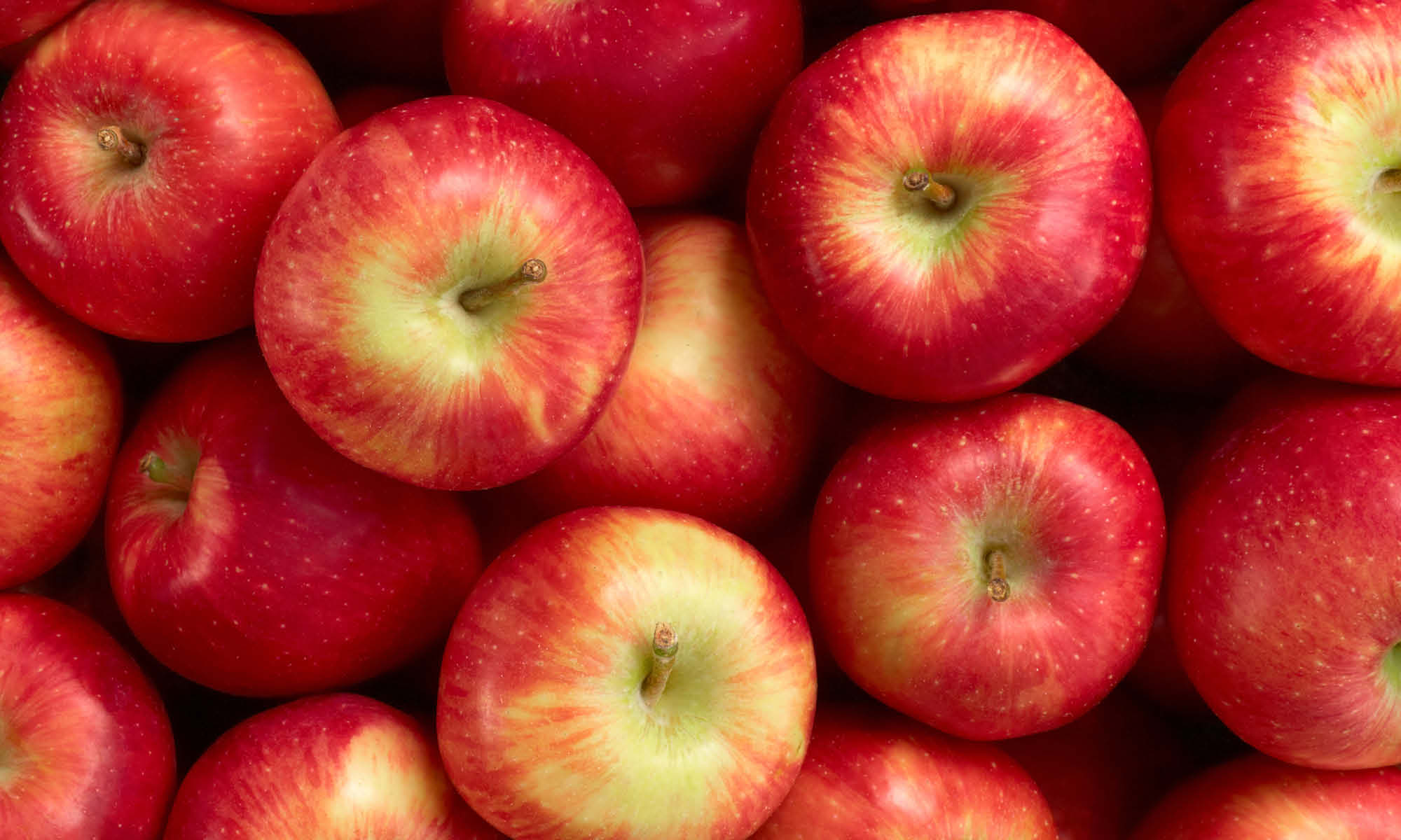 Viele frische rote Aepfel liegen auf und nebeneinander