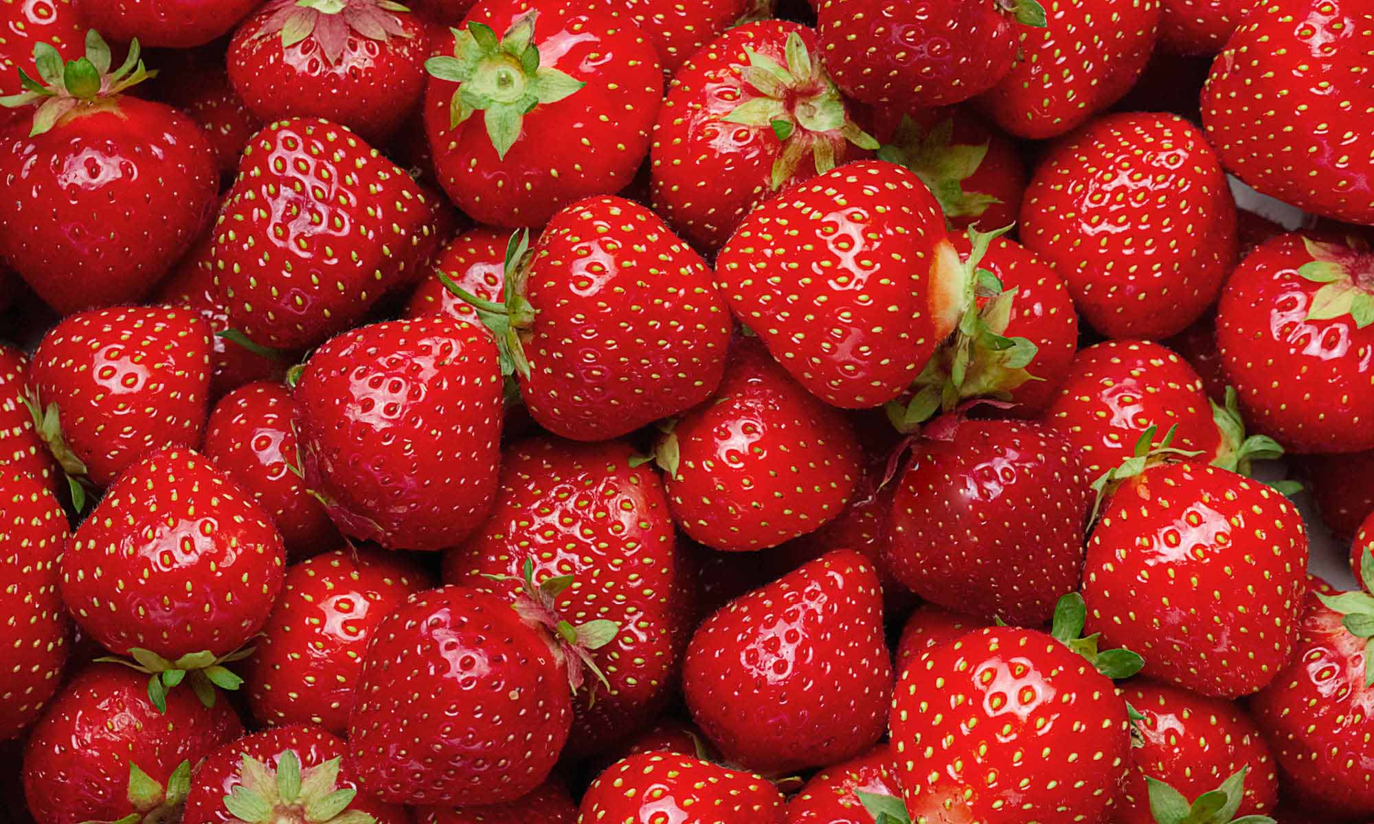 Viele frische rote Erdbeeren neben und aufeinander