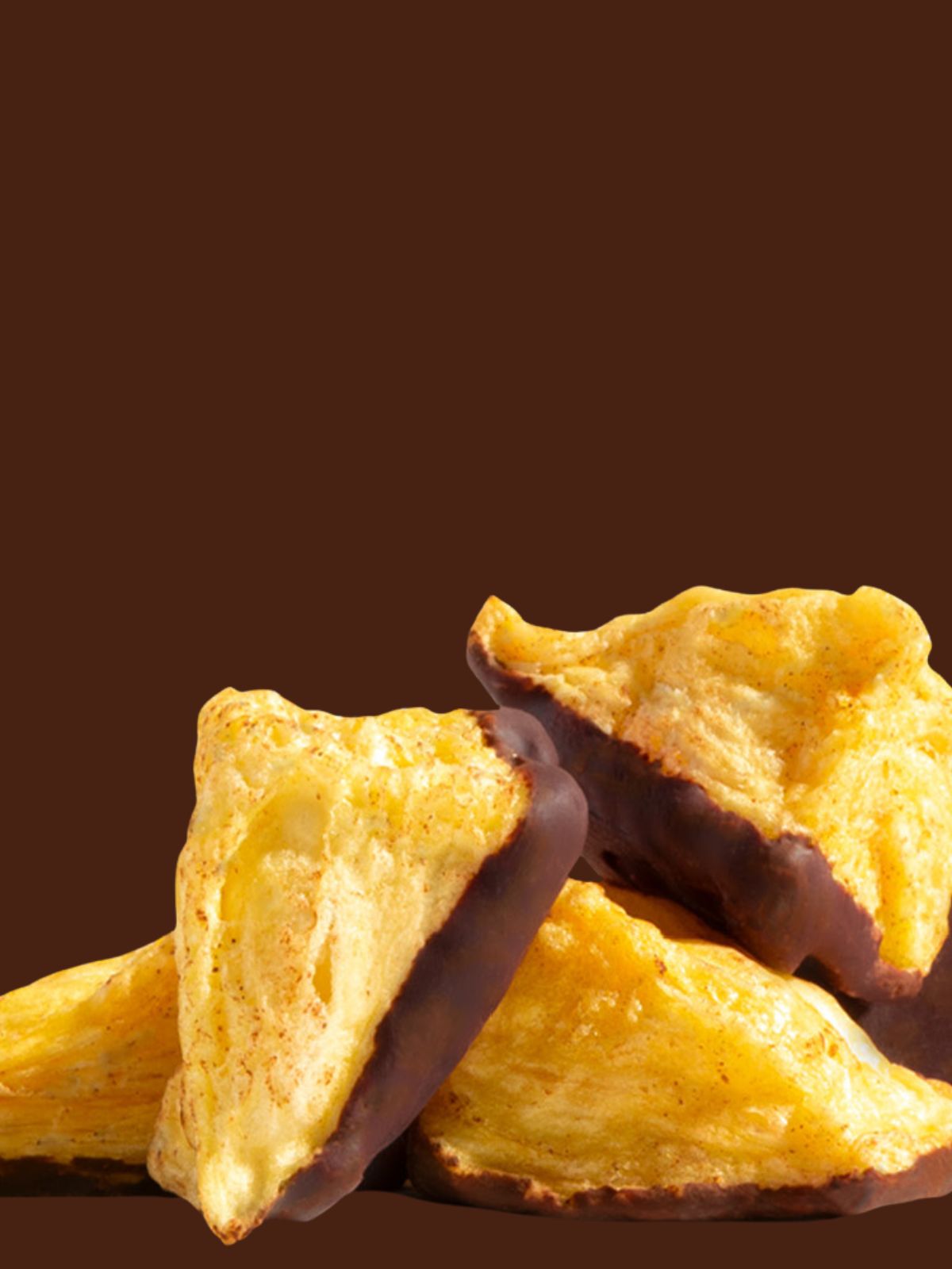 buah gefriergetrocknete Ananas in Nahaufnahme, mit Kakao ueberzogen als Schokofruechte vor braunem Hintergrund