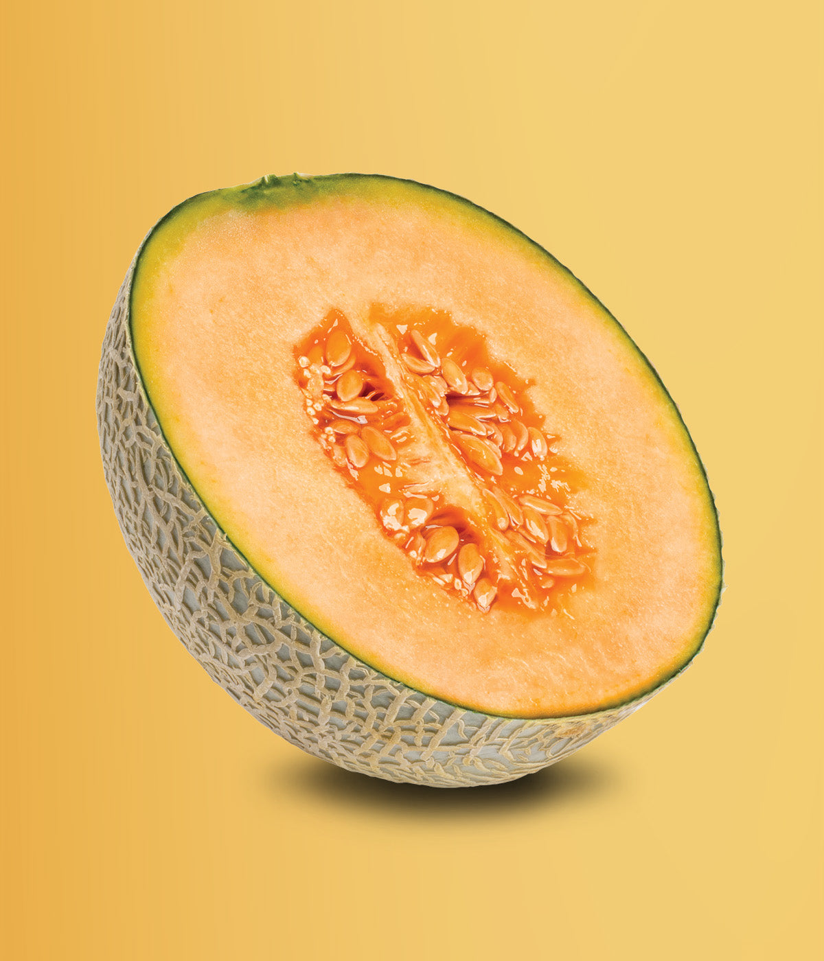 Frische Cantalpoupe Melone aufgeschnitten mit saftigem orangenem Fruchtfleisch vor orangenem Hintergrund.