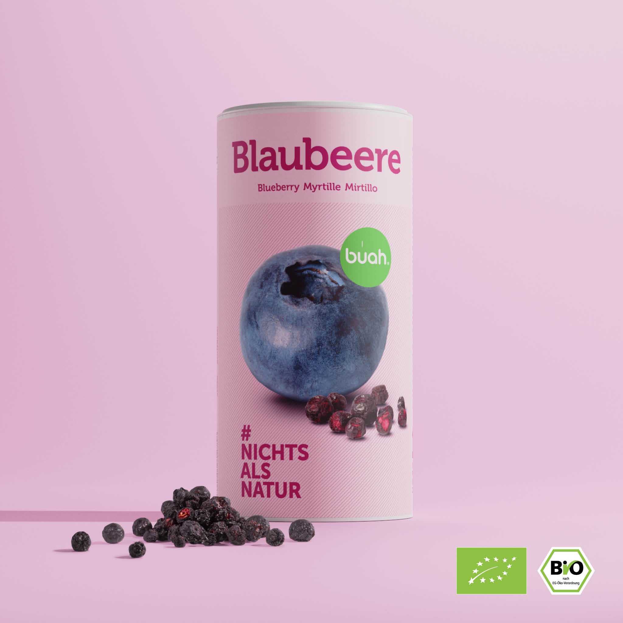 buah gefriergetrocknete Blaubeeren in der grossen Dose