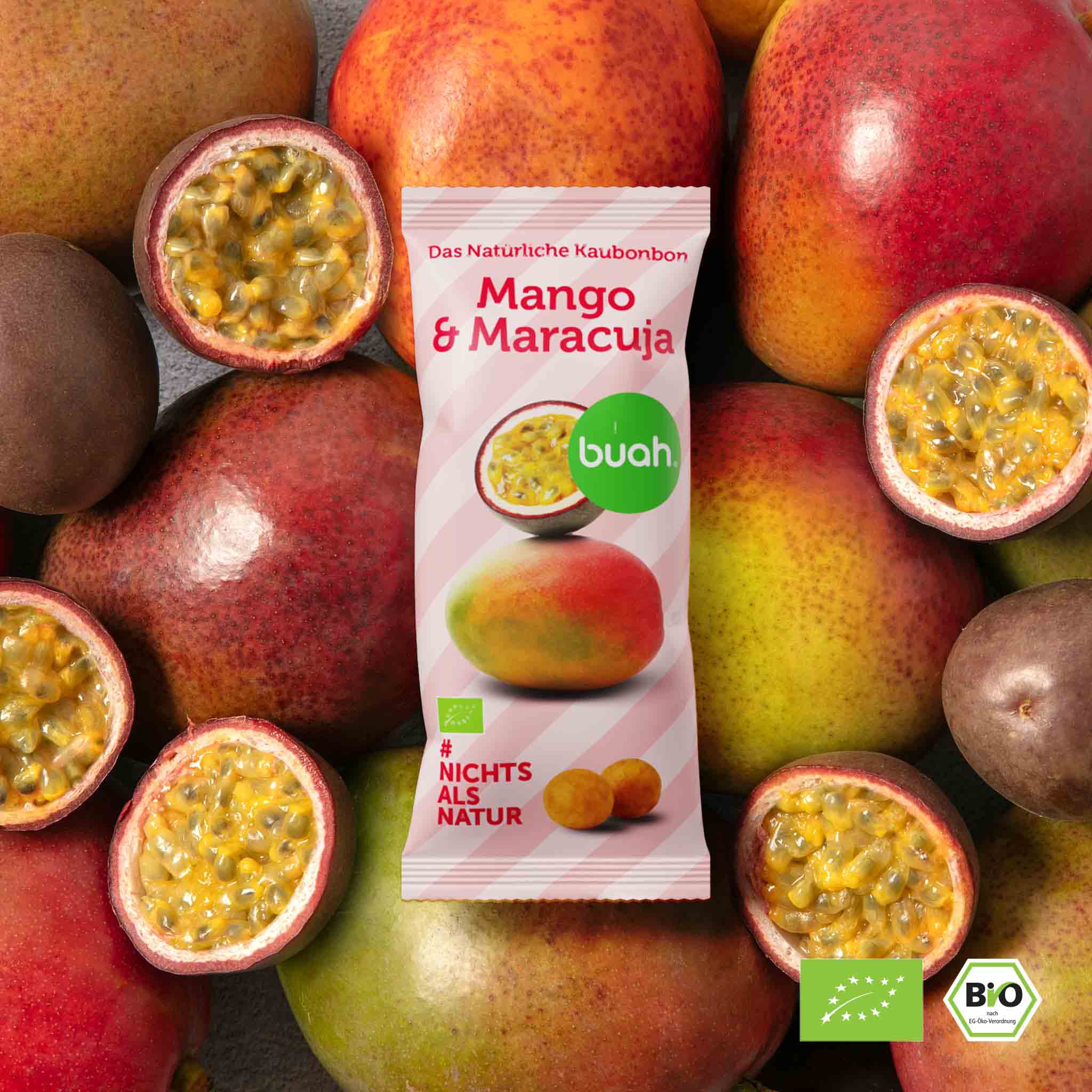 Biologische mango-passievrucht-blissballs