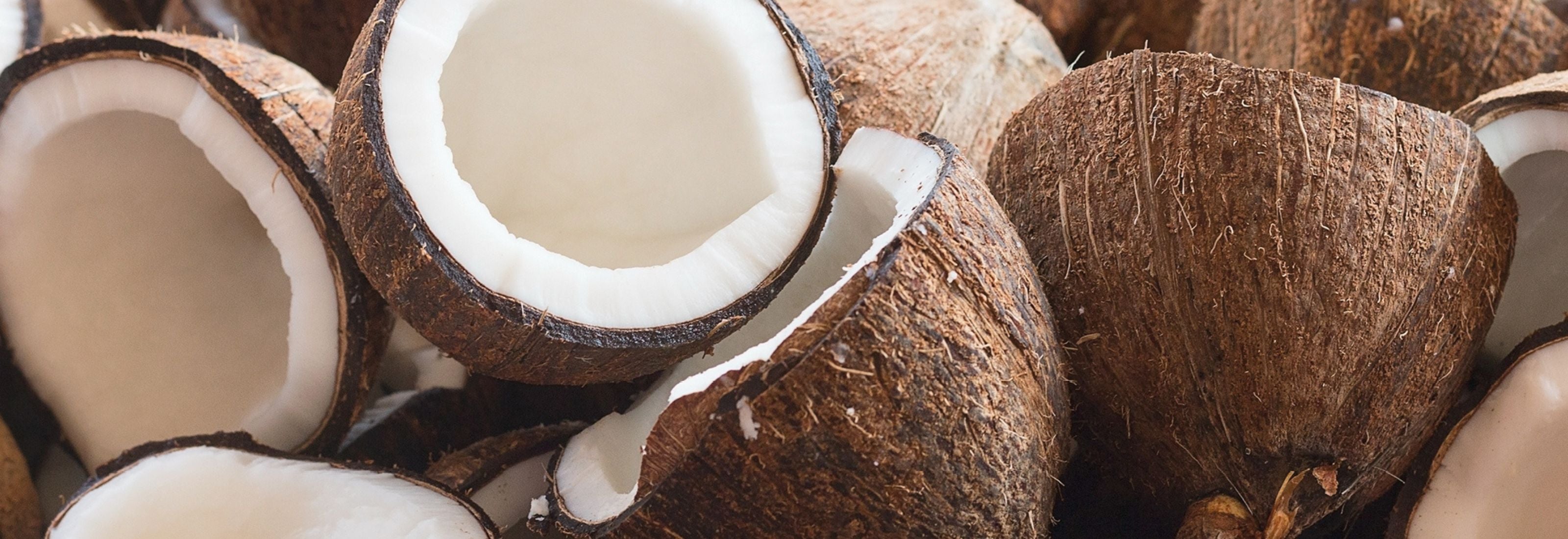 Nahaufnahme vieler aufgeschnittener brauner Kokosnuesse mit weißem Fruchtfleisch, die auf und nebeneinander liegen 